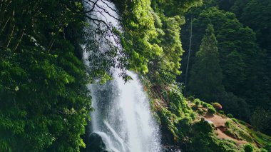Woodland şelalesi düşen kayalara yakın. İnsansız hava aracı, çağlayan su yosunlu yağmur ormanlarını vurdu. Yeşillik ormanlarının arasında taşlardan akan büyük, azgın bir dere. Rahatlatıcı doğa manzarası kavramı.