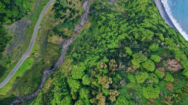 Ada ormanına giden dolambaçlı yol. Okyanusla yıkanan havadaki volkanik dağ. Köpüklü turkuaz dalgalar sıçrayan kayalık kıyılara çarpıyor. Resimli yeşil ağaçlar tepeleri kaplıyor. Doğa sükuneti kavramı