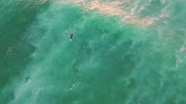 Luchtfoto Surfer Zwemmen Oceaan Zomer Weekend Top Shot Onherkenbare Surfboarder — Stockfoto