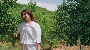 Mutlu kız güneş ışığı doğasını kutluyor. Rahatlamış esmer model fotoğraf makinesi yaz yeşilliğinin tadını çıkarıyor. Botanik bahçesinde kollarını açan genç bir kadın. Gülen kadın turuncu tarlada yürüyor.