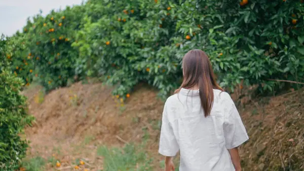 뒤보기 스테핑 화려한 소녀는 오렌지 초상화에서 카메라로 부드러운 식물원 클로즈업 — 스톡 사진