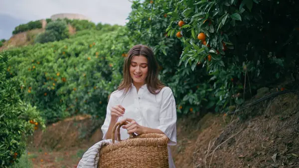 Onnellinen Nainen Korjaa Appelsiineja Nauttien Hedelmäkaudesta Puutarhassa Iloinen Hymyilevä Nainen — kuvapankkivalokuva
