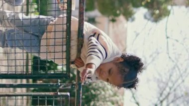 Küçük kız kuşlara kırıntılar fırlatıyor güneşli hafta sonu çitlerine yaslanmış. Gülümseyen Afro-Amerikan annesi elinde ekmek kırıntılarıyla tatlı kızının yanında çömelmiş vaziyette. Oyuncak çocuk güvercinleri dikey görüntüyle besliyor
