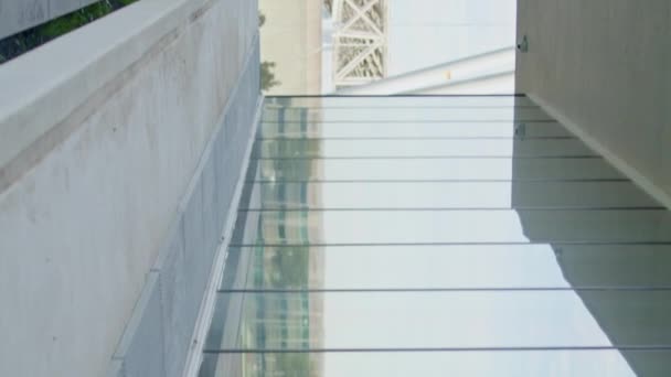Relajado Joven Caminando Ciudad Vidrio Reflejo Vertical Cabello Rizado Estudiante — Vídeo de stock