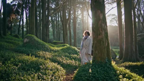 ブルネットは 早朝のライトで日光の森のトレイルで静かな散策を楽しんでいます 美しい女性は 休日の旅行で日焼け止めの木々を歩いています インスピレーションを受けた女性のワンダラー 森の美しさ — ストック動画