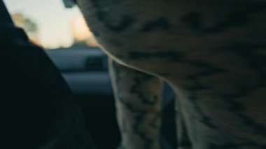 Tarz sahibi adam Bulanık Sokak 'ta araba gezisi için hazır bekliyor. Bilinmeyen kıvırcık adam alacakaranlıkta siyah otomobilin kapısına giriyor. Genç işadamı alacakaranlıkta yola çıkmaya hazırlanıyor..