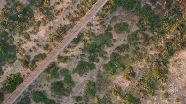 Drone view natural vegetation at seaside. Wooden boardwalk snaking green sandy terrain. Eco-friendly path encouraging sustainable exploration in wilderness. Greenery thriving around walkway habitat clipart