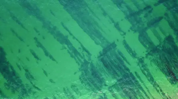 Drone View Ocean Surface Showcasing Intricate Patterns Green Algae Clear Stockafbeelding