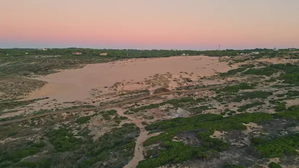 Вид Песчаные Дюны Невозмутимая Красота Разрастающейся Дикой Растительности Спокойный Пейзаж Стоковое Фото