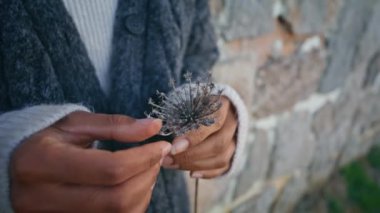 Bronzlaşmış model eller çiçekleri tutarken antik bina duvarını kapatıyor. Tanımlanamayan Afrikalı Amerikalı kadın doğanın tadını çıkarıyor.