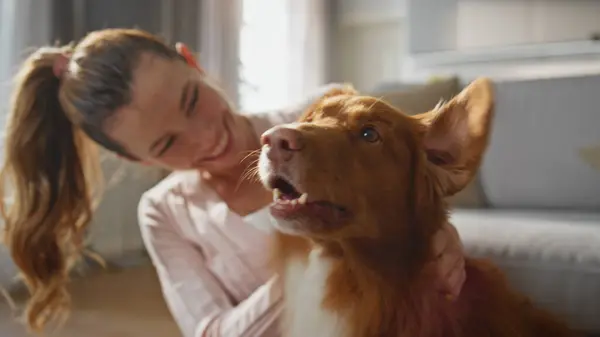 stock image Girl scratching lovely dog behind ears sitting home floor together close up. Smiling woman caressing adorable happy pet enjoying fluffy wool. Cheerful canine owner expressing love to adorable animal.