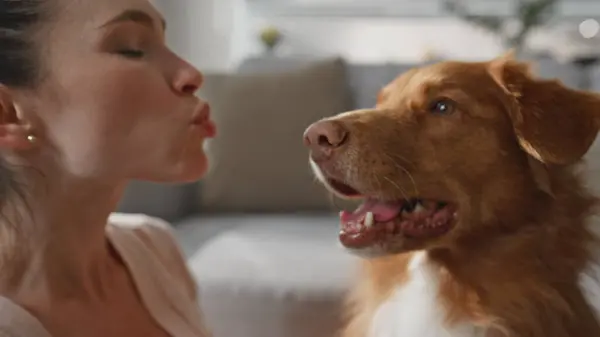 stock image Woman kissing pet muzzle at home expressing love to adorable animal close up. Happy smiling girl cuddling healthy fluffy dog enjoy time together. Cheerful lady caressing lovely puppy in apartment.