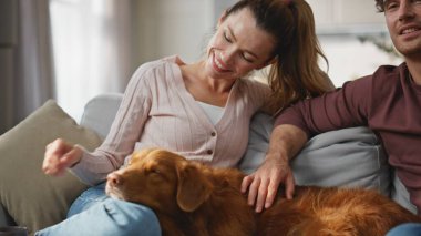 Sakin bir çift, rahat bir apartman dairesinde köpeğini okşuyor. Kapıları kapatın. Gülümseyen eşler sıcak kahve içerler koltukta oturup sevimli hayvanları okşarlar. Tasasız aile hafta sonu evde dinleniyor ve mutluluğun tadını çıkarıyor..