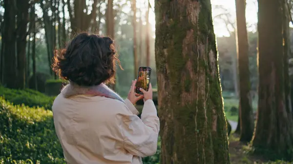 stock image Focused woman capturing forest scene using cellphone closeup. Back view curly brunette taking phone picture moss on old tree trunk at sunlit woodland. Stylish wanderer making photo serene woods beauty