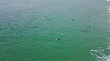 Turkuaz okyanus drone çekiminde dalgalar bekleyen grup sörfçüler. Yaz tatilinde açık deniz suyunda yüzen sörfçüler. Maceraperest insanlar spor hobilerinden zevk alarak dalgalanan yüzeyde salınırlar. Turizm konsepti