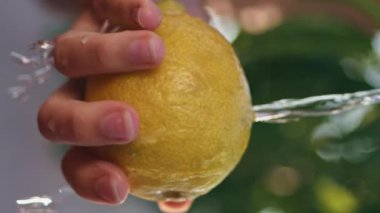 Köyde limona su döken kadın. Tanımlanamayan bir kadın yaz terasında meyve yıkıyor limonata hazırlıyor. Kırsal alanda su temizleyen narenciye tutan genç kız elleri.