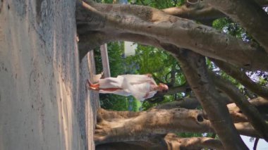 Beyaz eşarpla el ele dolaşan zarif bir kadın. Rahat kız güzel park doğasına bakıyor yalnız başına dinleniyor dikey video. Sakin bayan geniş ağaçların altında geziniyor Hafta sonunun tadını çıkarıyor