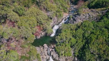 Küçük şelale taşları kristal berrak gölet. İnsansız hava aracı doğa manzaralı. Madeira 'da akan tatlı su akıntısı tepesi. Yaz aylarında yemyeşil ve huzurlu manzaralar..