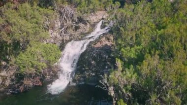 Küçük nehir çağlayan orman tepesi drone görüntüsü. Yaz dağlarında gölete düşen akan su taşları. Madeira 'nın huzurlu manzarasında el değmemiş şelale. Doğa keşfi kavramı.