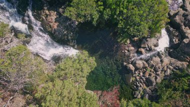 İnsansız hava aracı şelalesi düşen gölet taşları akıtıyor. Madeira 'da el değmemiş vahşi doğa. Tepeden aşağı akan küçük bir su akıntısı. Nehir yazın yemyeşil ağaçlara sıçrıyor. Macera keşfi manzarası.