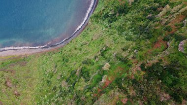 Yeşilliklerle dolu kıyı manzarası. Yazın Madeira 'da el değmemiş deniz suyu. Ada kıyı şeridinin doğal güzelliği. Resimli tropikal çevre insansız hava aracı çekimi