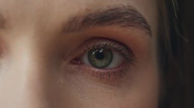 Makro kadın gözü atölyedeki kameraya bakıyor. Stüdyonun yakın çekiminde göz kırpan, bilinmeyen, muhteşem yeşil gözlü kız. Model yüzün güzel üst kısmı doğrudan içeri bakıyor. Kadın görünümü 
