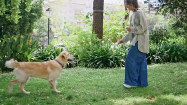 Canlı parkta köpekle oynayan neşeli bir kadın. Çimenli bahçede Golden Retriever 'ı eğitip hayvanlara atıştırmalık veren oyuncu kız. Kadın sahibi ve evcil hayvan paylaşım anı yeşil doğayla eğleniyor..
