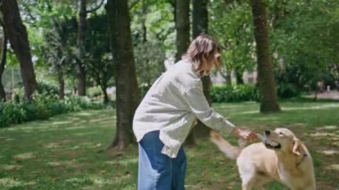 Hayvan sahibi, Golden Retriever ile yakın planda maçın tadını çıkarıyor. Yeşil çimen ağaçlarıyla çevrili enerjik tüylü köpek sevgi dolu bir kadınla oynuyor. Aktif hayvan ısırma oyuncağı güneşli doğada eğleniyor.