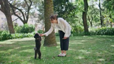 Yeşil park çimlerinde kaniş oynayan mutlu kadın. Neşeli kız dışarıda tüylü siyah köpek yavrusuyla eğleniyor. Gülümseyen esmer hayvan eğitirken doğa üzerine atıştırmalık veriyor. Bayan okşayan köpek.