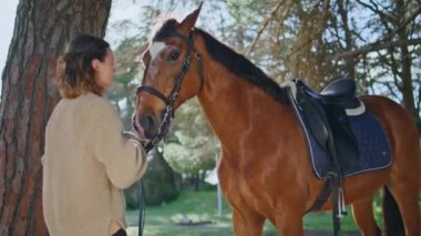 Mutlu kovboy kız, güneşli doğada hayvanı okşuyor. Yumuşak atlı kadın ormanda en sevdiği evcil hayvanla iletişim kuruyor. Şirin bir kadın yaz bahçesinde kahverengi itaatkar bir atla vakit geçiriyor.
