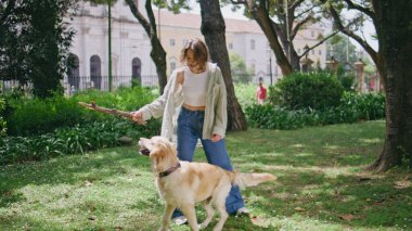Güneşli bahçede av köpeği eğiten mutlu kız. Sevimli köpek yakalama sopası çimenli parkın gülümseyen sahibiyle eğleniyor. Yaz haftasonu safkan evcil hayvanla oynayan oyuncu bir kadın. Hayvan bakımı.