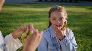 Yaz pikniğinde üzüm yiyen küçük bir çocuk bilinmeyen bir anneye yakından bakıyor. Tanınmayan bir kadın tatlı bir kızı lezzetli yemeklerle besliyor. Güneşli bir hafta sonunda tatlı yiyen sarışın çocuk portresi.