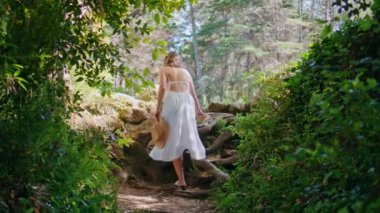 Maceraperest kız orman patikasına tırmanıyor yaz haftasonunu arka planda geçiriyor. Çekici kaygısız kadın sepetle doğaya gidiyor güneşli bir sabah. Mutlu sakin bayan turistler, eğlencenin tadını çıkarın. 