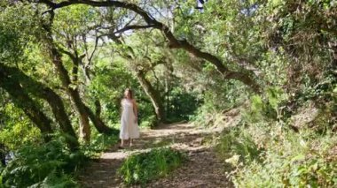 Rahatlamış bir kadın, gün ışığı ormanlarında geziniyor. Gülümseyen nazik bayan doğanın tadını çıkartıyor. Sabah aydınlığı ormanında yürüyor. Yeşil parkı tek başına düşünen sakin, güzel bir model. Basit zevkler konsepti 