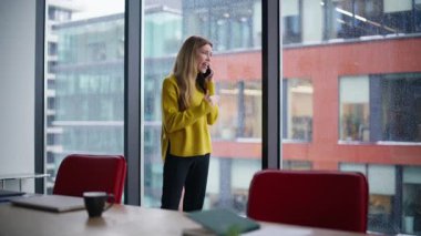 Sinirli kadın patron cep telefonunu arıyor ve işten şikayet ediyor. Stresli iş kadını endişeli akıllı telefon konuşmasını bitirdi. Gergin girişimci ofisin panoramik penceresinde tek başına duruyor..