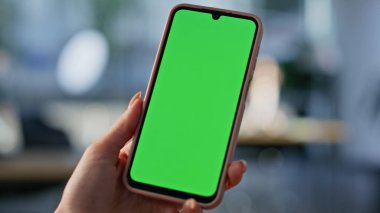 Ofiste kapalı alanda kullanıcı eliyle akıllı telefonu tutuyor. Chroma Key cep telefonundan sosyal medyayı izleyen tanınmayan bir iş kadını. Kadın yönetici yeşil ekran telefonunda çevrimiçi uygulamayı tarıyor.