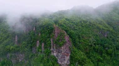 Drone view mountain slopes blanketed by light mist creating peaceful landscape. Vegetation spreading on highlands under white soft fog. Aerial panorama rough green hills covered greenery under clouds.