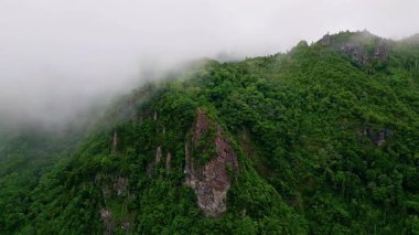 Clouds covering green mountains aerial shot. White fog drifting over forested slopes creating mystical atmosphere. Lush valleys and peaks half hidden under white mist. Highland wilderness scenery.