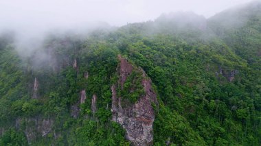 Drone view mountain slopes blanketed by light mist creating peaceful landscape. Vegetation spreading on highlands under white soft fog. Aerial panorama rough green hills covered greenery under clouds.