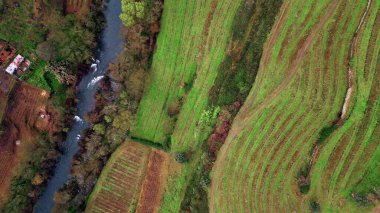Small stream crossing green field drone view. Agricultural terraces covering farm land in countryside. Picturesque farmland creating quiet landscape composition. Little village placed in rural scenery