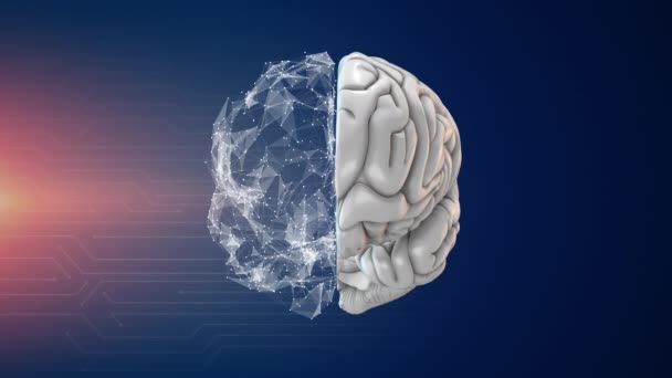 人工知能と人間の脳 — ストック動画