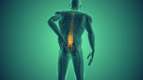 Linderung Von Rückenschmerzen Menschlichen Körper — Stockvideo