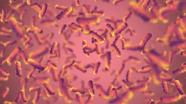 Latar Belakang Medis Dari Sel Bakteri — Stok Video