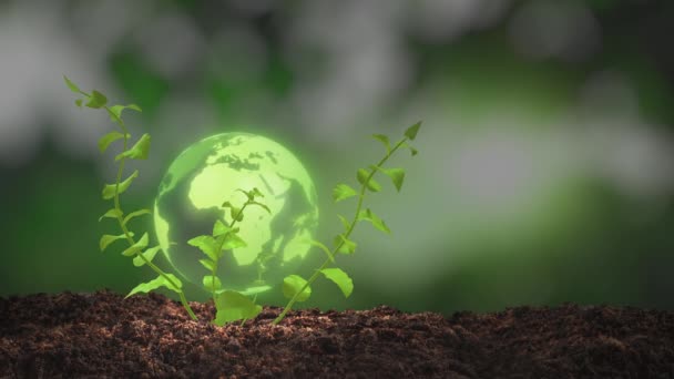Terre Branche Verte Avec Des Feuilles Source Énergie Écologique — Video