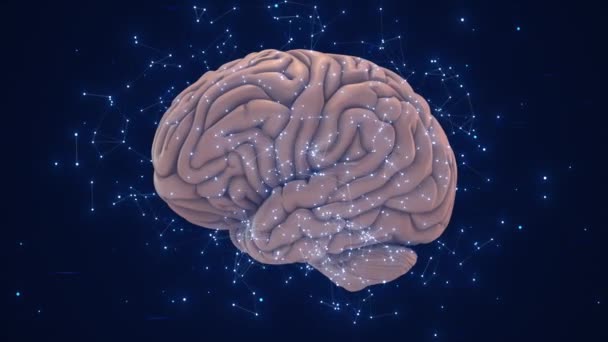 Kunstmatige Intelligentie Menselijke Hersenen — Stockvideo