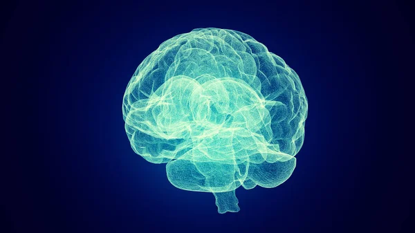 Representación Médica Cerebro Humano Ilustración — Foto de Stock