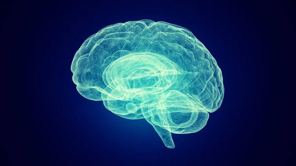 Representación Médica Cerebro Humano Ilustración — Foto de Stock