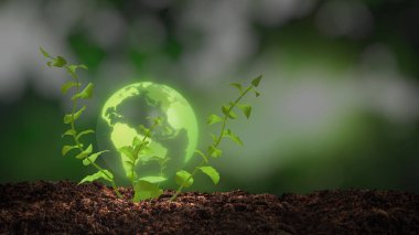 Yaprakları olan toprak ve yeşil dal, çevre dostu güç kaynağı.