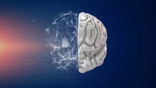 Τεχνητή Νοημοσύνη Και Ανθρώπινος Εγκέφαλος — Φωτογραφία Αρχείου