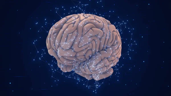 stock image Artificial intelligence and human brain 